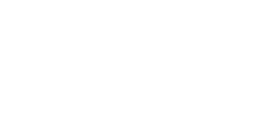 logo peugeot br automobile